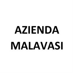 Malavasi Daniele