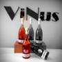 Gallery Professionale