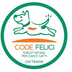 Toelettatura Code Felici