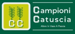 Campioni Catuscia - Alloro Pescia