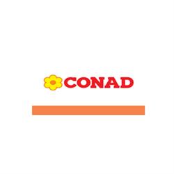 Supermercato Conad della Albano 96