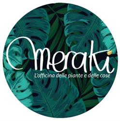 meraki luino