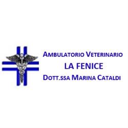 Ambulatorio Veterinario La Fenice Cataldi Dr.ssa Marina