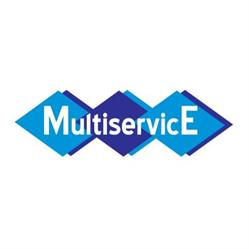 Multiservice Impresa di Pulizie  - Giardinaggio - Traslochi - Imbianchini