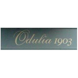 Odulia s.r.l.
