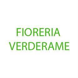 Fioreria Verderame Di Pellegrini Graziella