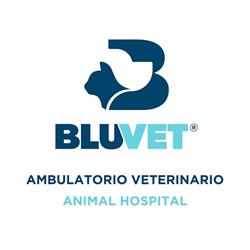 Ambulatorio Veterinario Animal Hospital di Luigi Amato