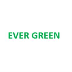 Ever Green