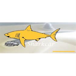 Shark Car - Vendita Auto