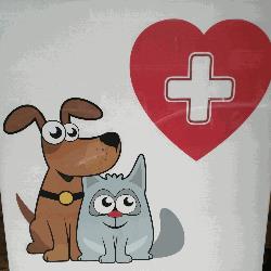 Veterinario De Serio Maria