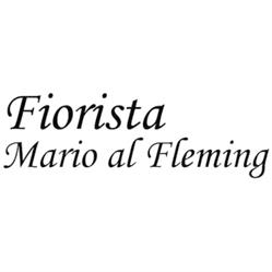 Mario Fleming Fiorista