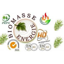 Energia Biomasse