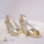 Gallery Professionale