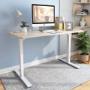 eWork Desk Pro