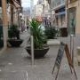 Gallery Professionale
