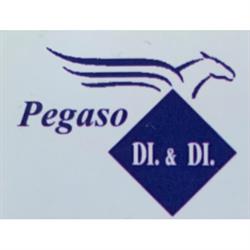 D&D Pegaso Moving Internazional Logistica S.r.l.s.