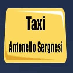 Sergnesi Antonello Servizio Taxi Olbia
