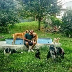 Alessandro Matola Educatore Cinofilo