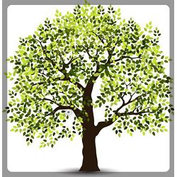 Bio-Energy