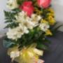 Gallery Professionale