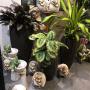 Gallery Professionale