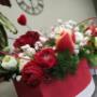 Gallery Professionale