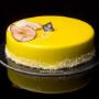 Gallery Professionale