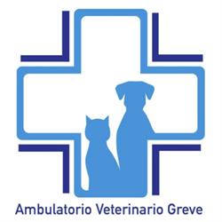 Ambulatorio Veterinario Greve