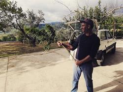 San Vito Hemp Az. Agricola