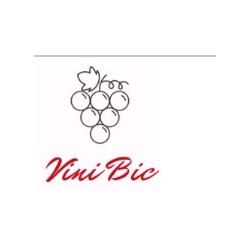 Vinibic