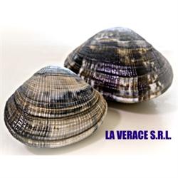 La Verace