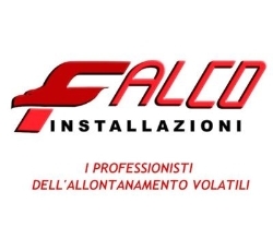Falco Installazioni srl