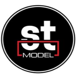 ST model