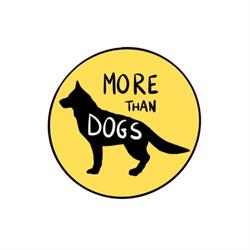 Pensione per cani easydog - addestramento cinofilo - allevamento “Ai Sorni”