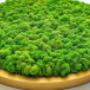 quadro vegetale rotondo