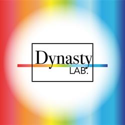 Dynasty Lab S.r.l. (Sede Stampa)