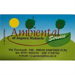 Ambiental Service