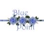 Blue Point