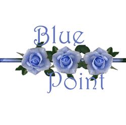 Blue Point agenzia di traduzioni e interpretariato