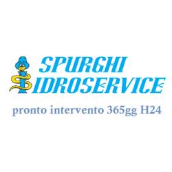 Idroservice Spurghi Cologno Monzese