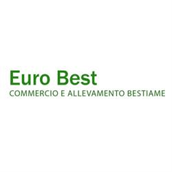 Euro Best