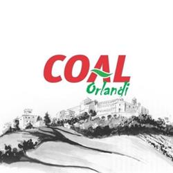 Supermercato Coal Orlandi Sant'Angelo in Pontano