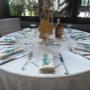 Gallery Professionale