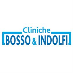 Cliniche Bosso & Indolfi