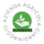 Copertina Pgcasa