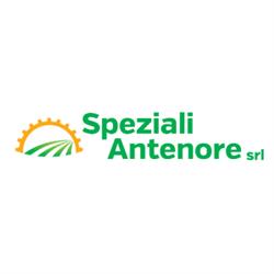 Speziali Antenore