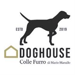 Doghouse Pensione per Cani Parco Giochi per Cani Area Cani
