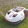 Robot Rasaerba