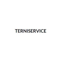 Terniservice
