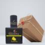 Gallery Professionale